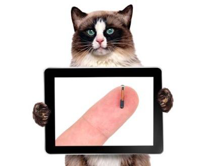 Microchip Size